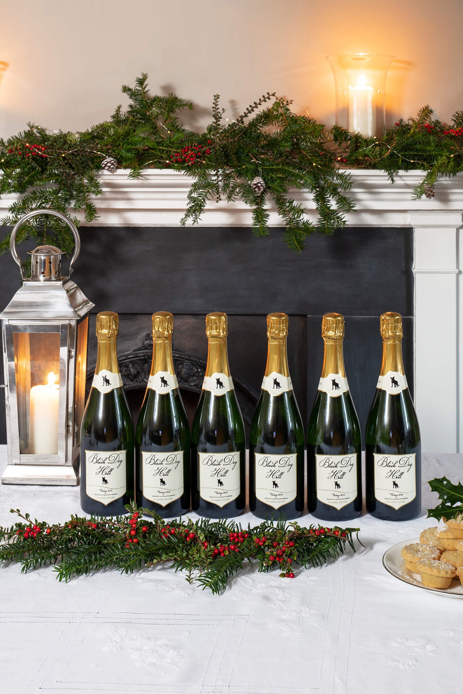 超希少) The keys to the wines of Champagne By the Case – Black Dog Hill Vineyard
